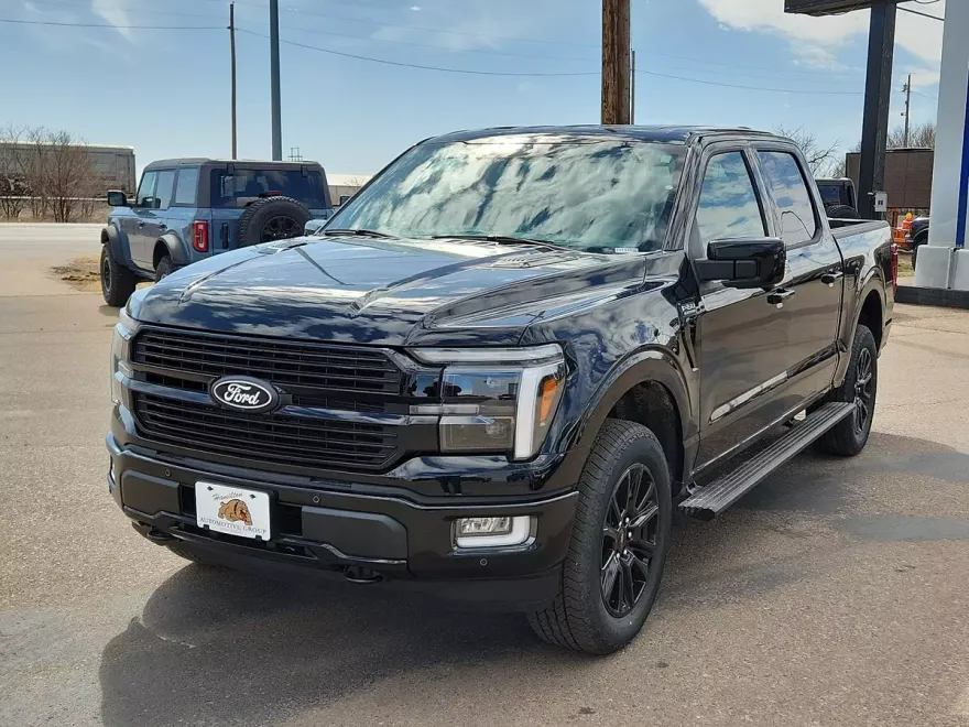 2025 Ford F-150 Platinum photo 1