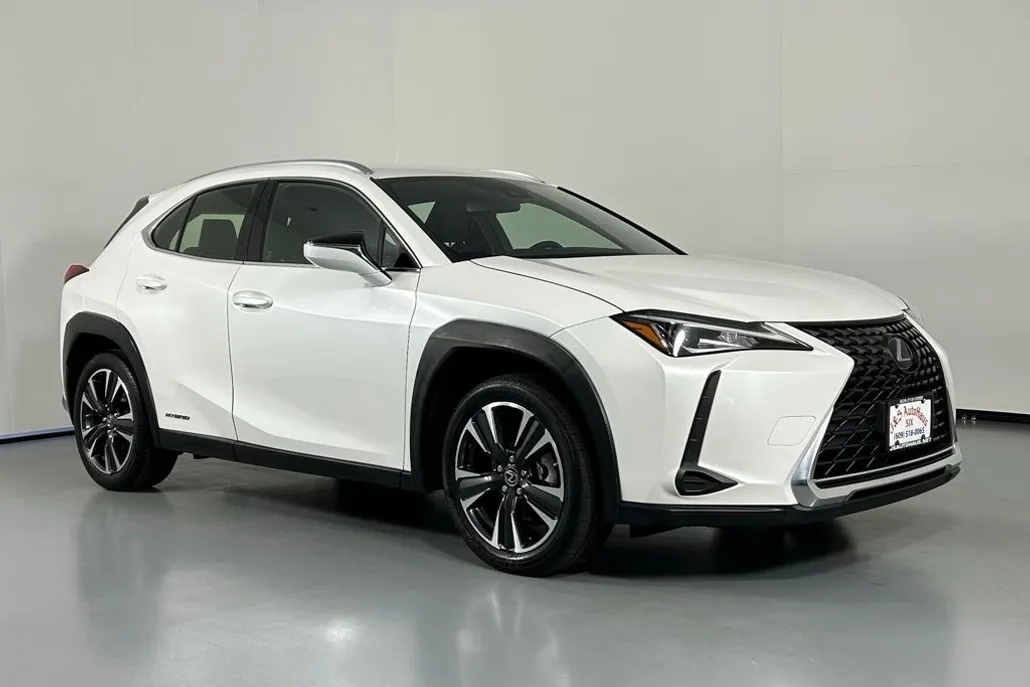 2021 Lexus UX 250h photo 1