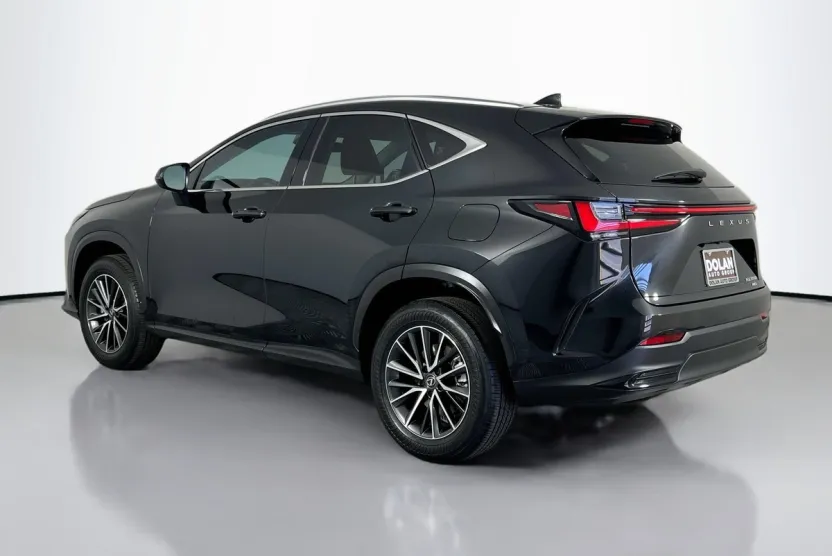 2024 Lexus NX 350h photo 1