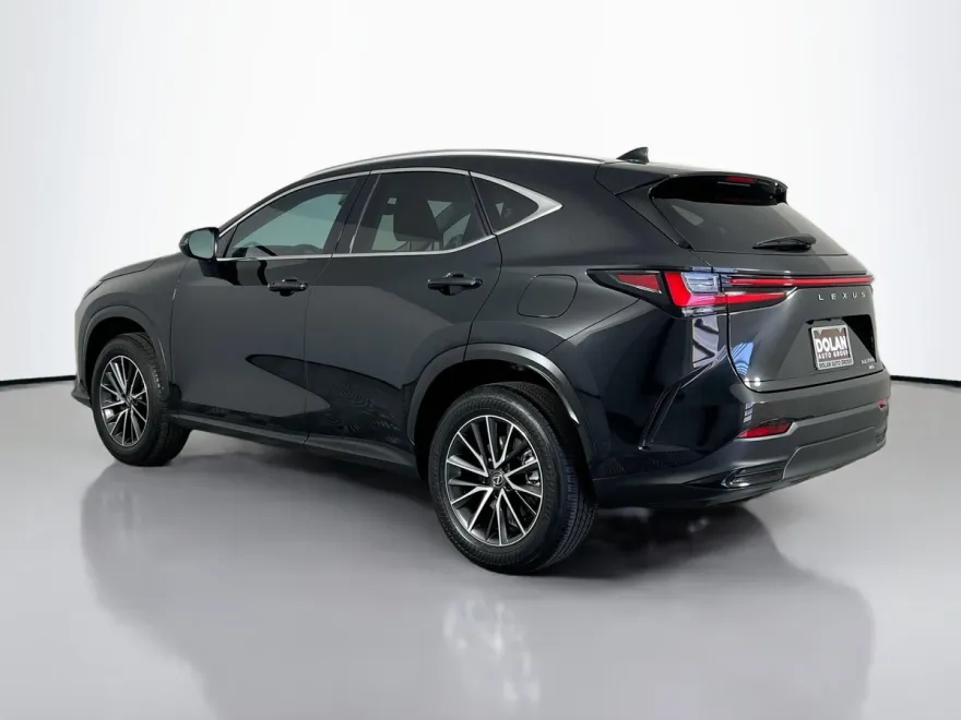 2024 Lexus NX 350h photo 1