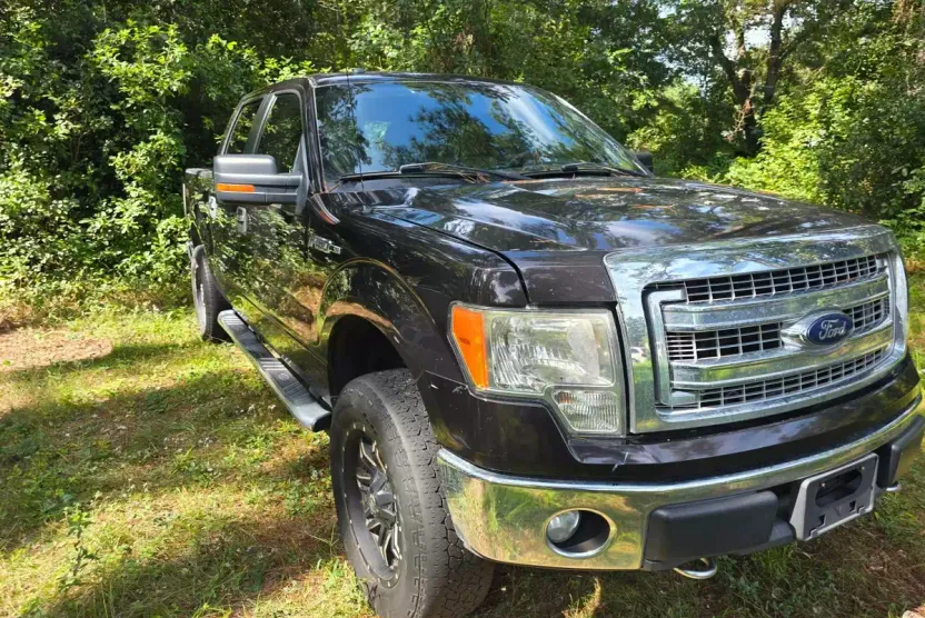 2013 Ford F-150 photo 1