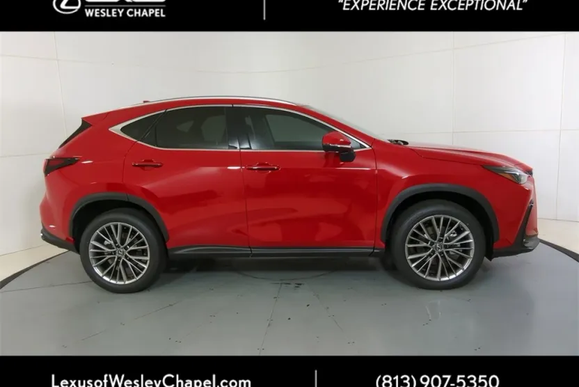 2025 Lexus NX 350h Premium AWD photo 1
