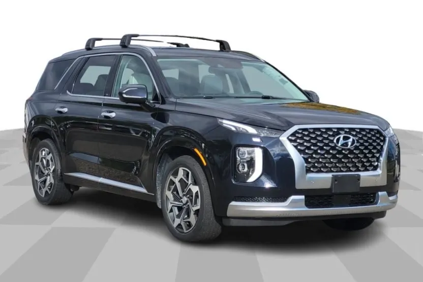 2021 Hyundai Palisade Calligraphy photo 1