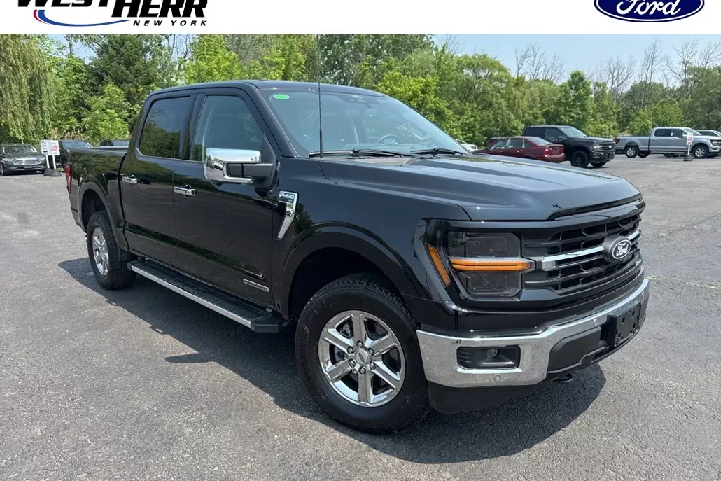 2025 Ford F-150 XLT photo 1