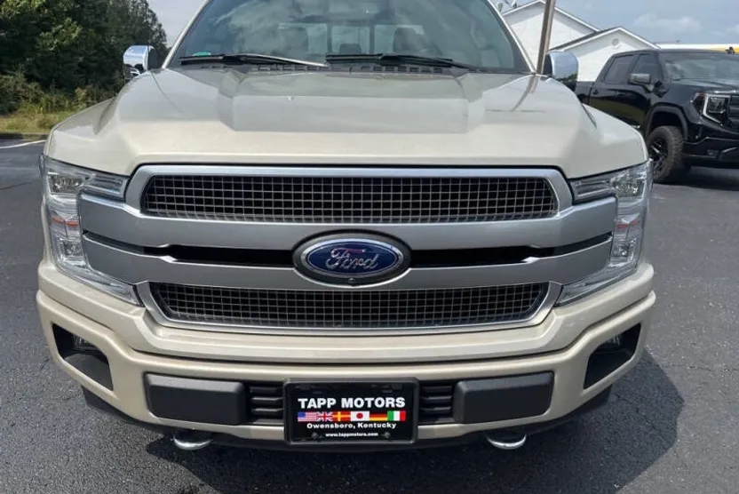 2018 Ford F-150 Platinum photo 1