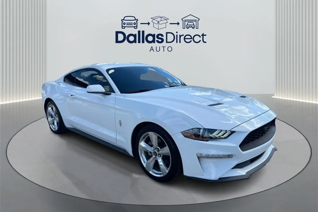 2019 Ford Mustang EcoBoost photo 1