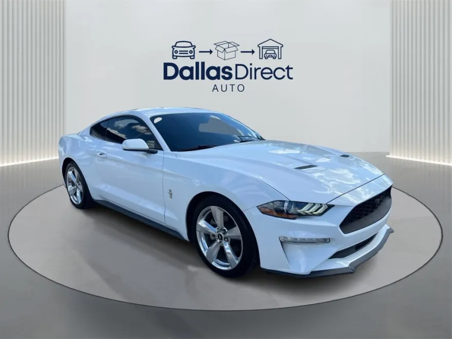 2019 Ford Mustang EcoBoost photo 1