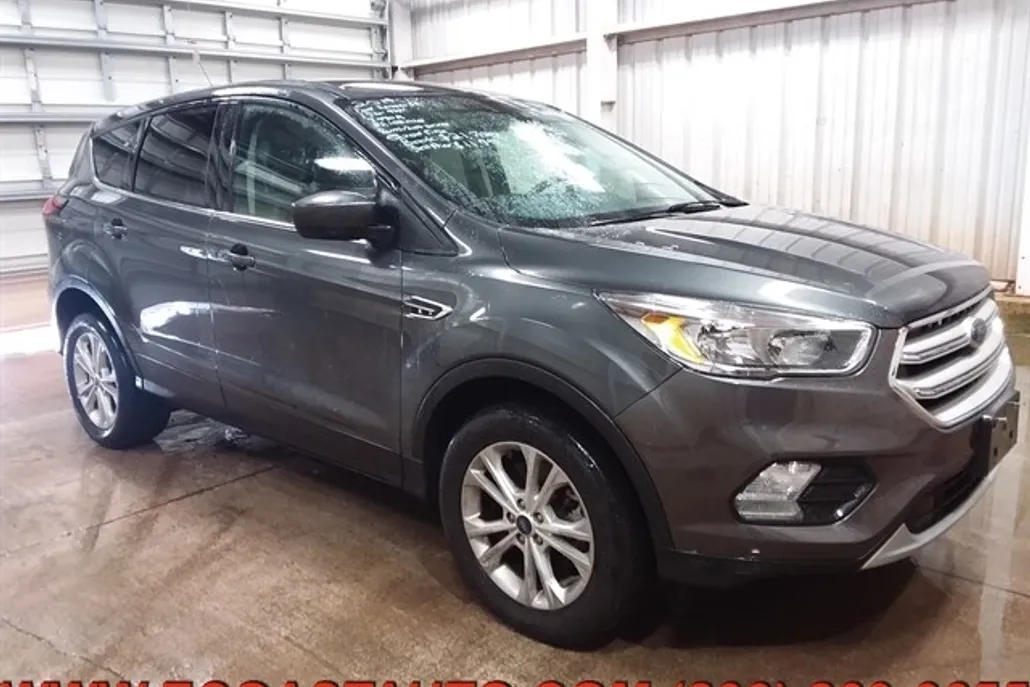 2019 Ford Escape SE photo 1