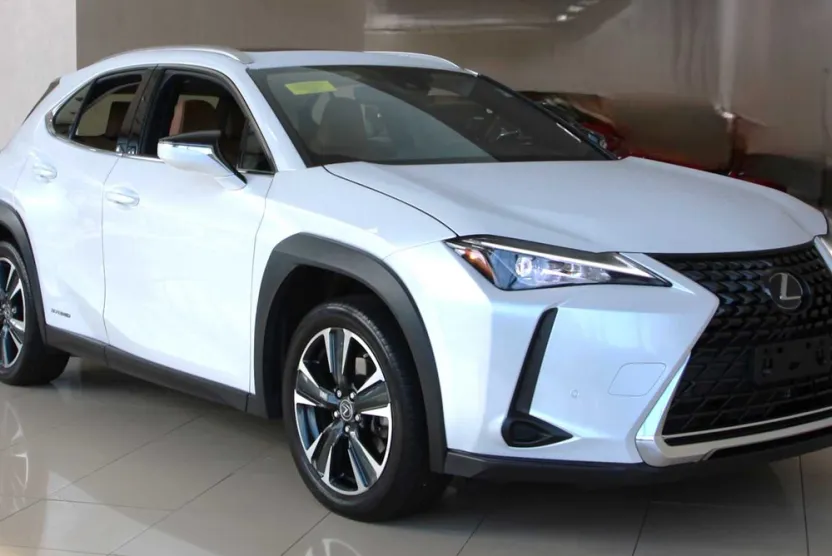2021 Lexus UX 250h photo 1