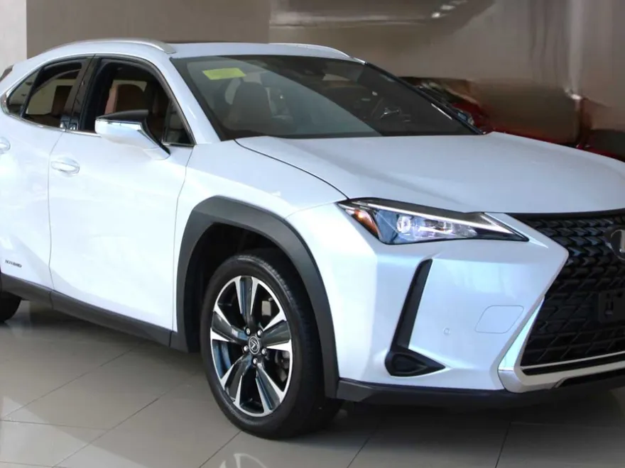 2021 Lexus UX 250h photo 1