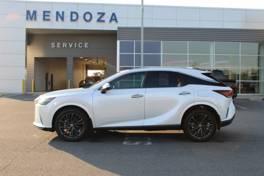 2024 Lexus RX 350 Luxury photo 1