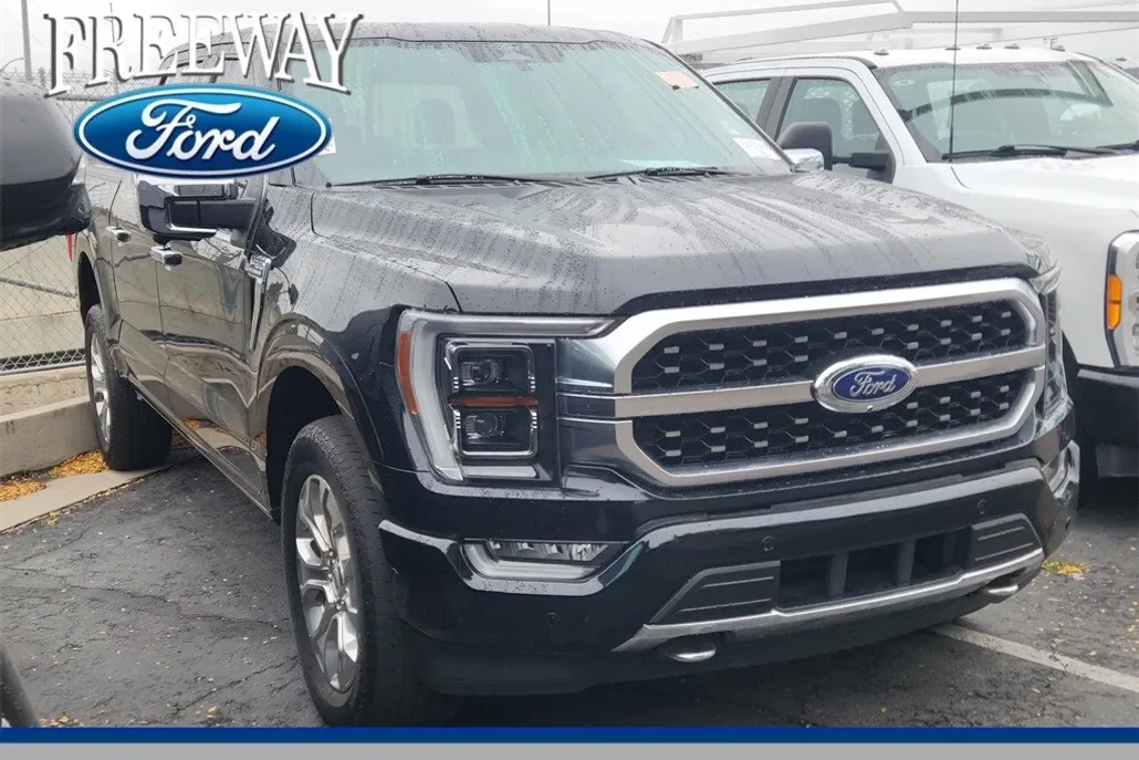 2022 Ford F-150 Platinum photo 1