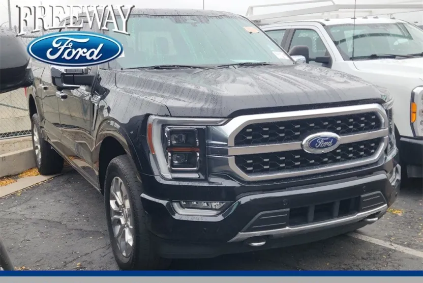 2022 Ford F-150 Platinum photo 1