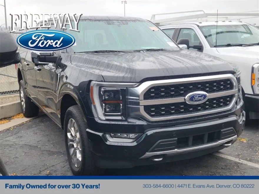 2022 Ford F-150 Platinum photo 1