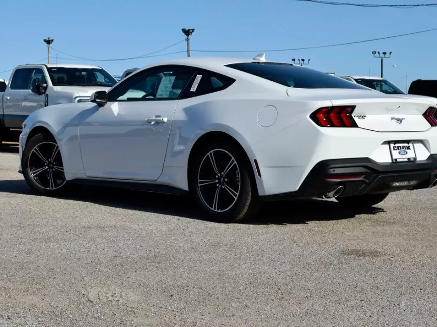 2025 Ford Mustang EcoBoost photo 1