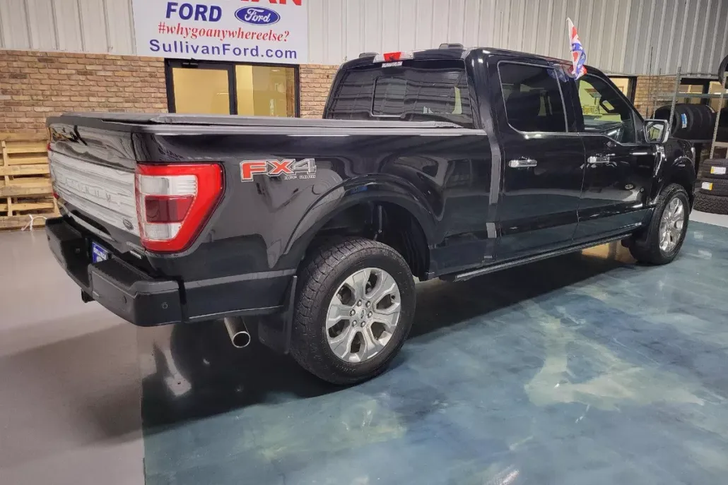 2022 Ford F-150 Platinum photo 1