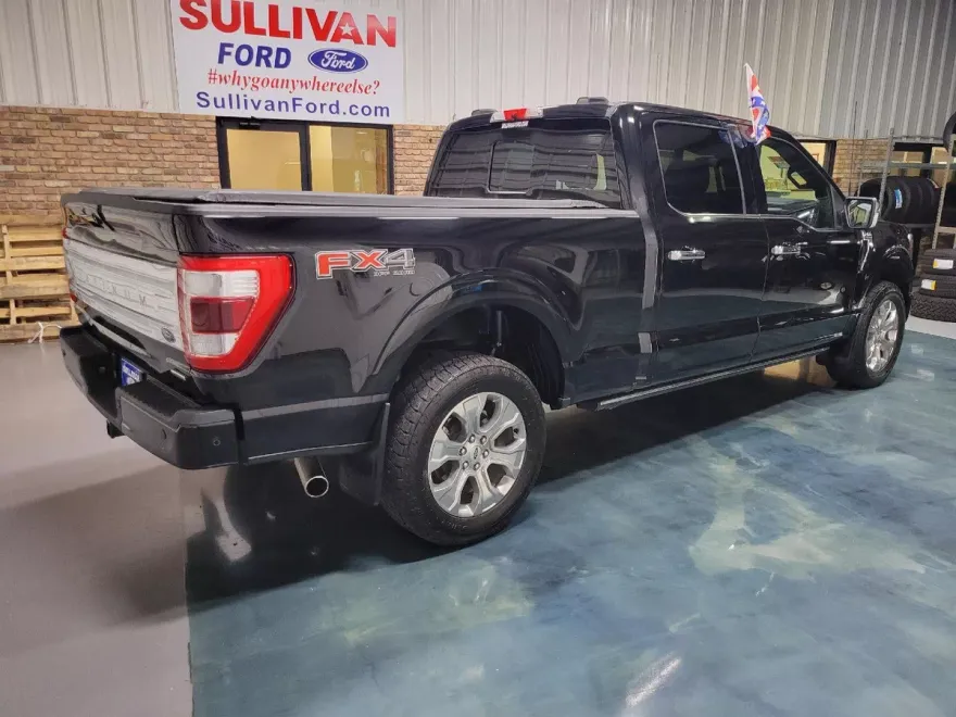 2022 Ford F-150 Platinum photo 1