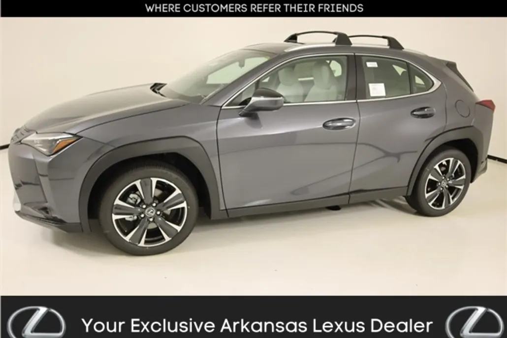 2025 Lexus UX photo 1