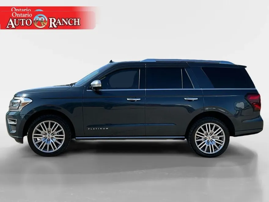 2022 Ford Expedition Platinum photo 1