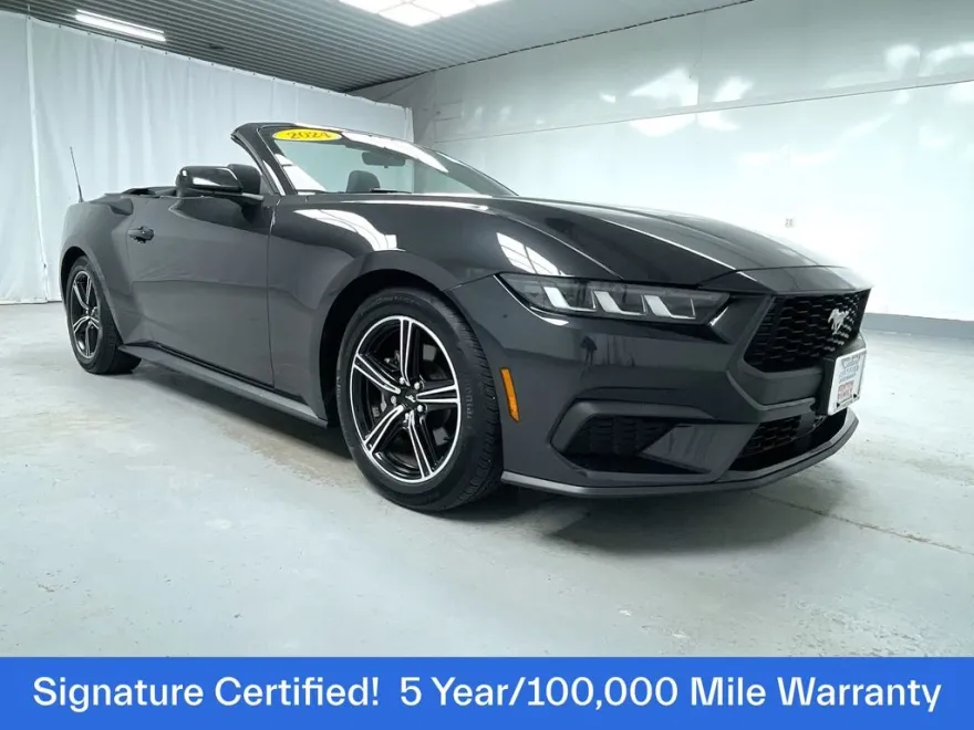 2024 Ford Mustang EcoBoost Convertible photo 1