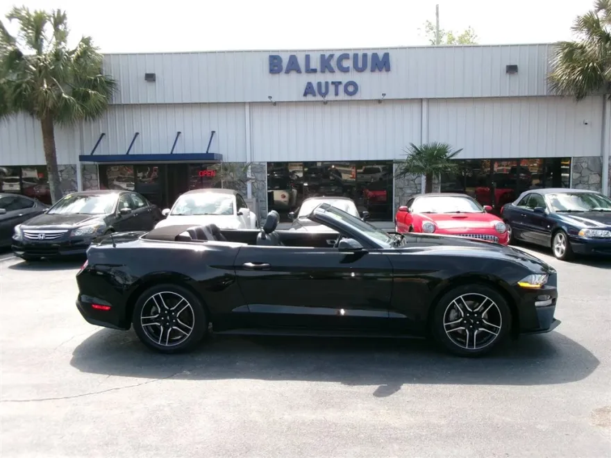 2023 Ford Mustang EcoBoost Convertible Premium photo 1