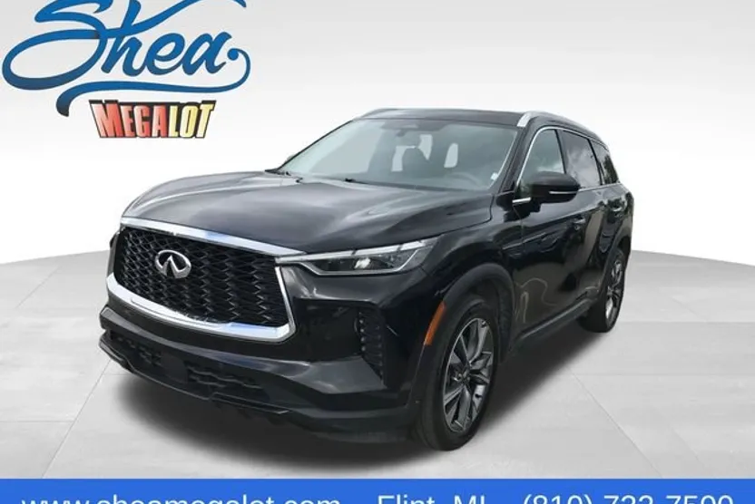 2023 Infiniti QX60 Luxe photo 1