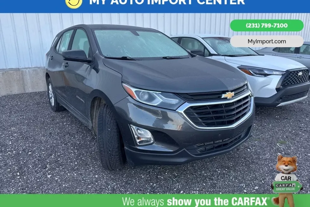 2018 Chevrolet Equinox LS photo 1