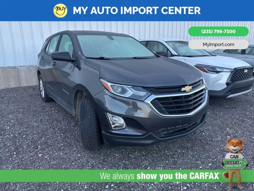 2018 Chevrolet Equinox LS photo 1