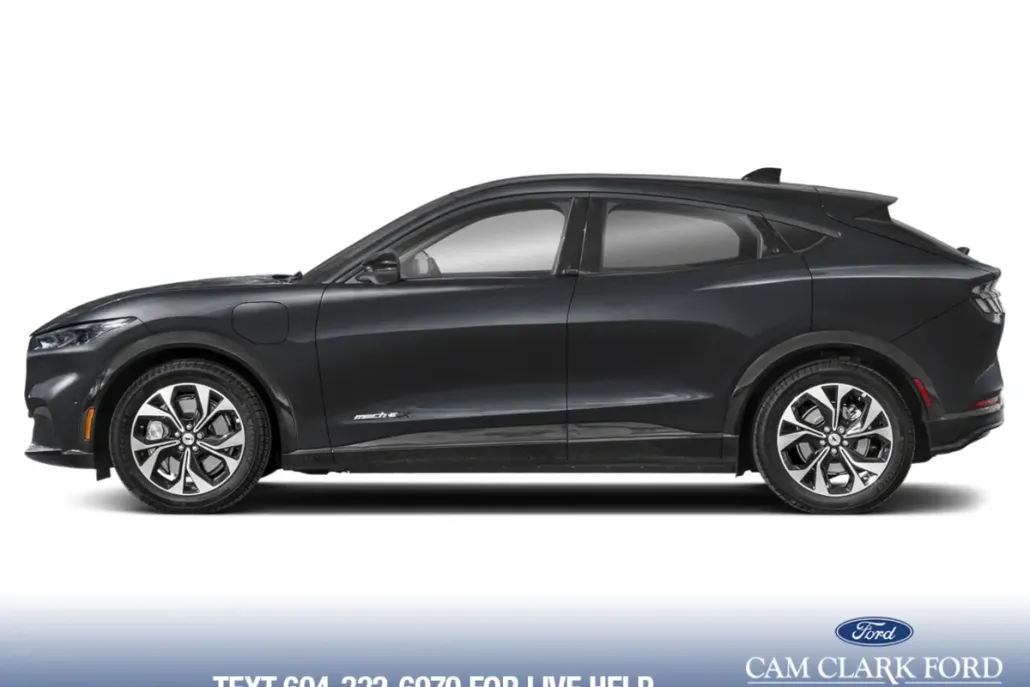 2023 Ford Mustang Mach-E Premium photo 1