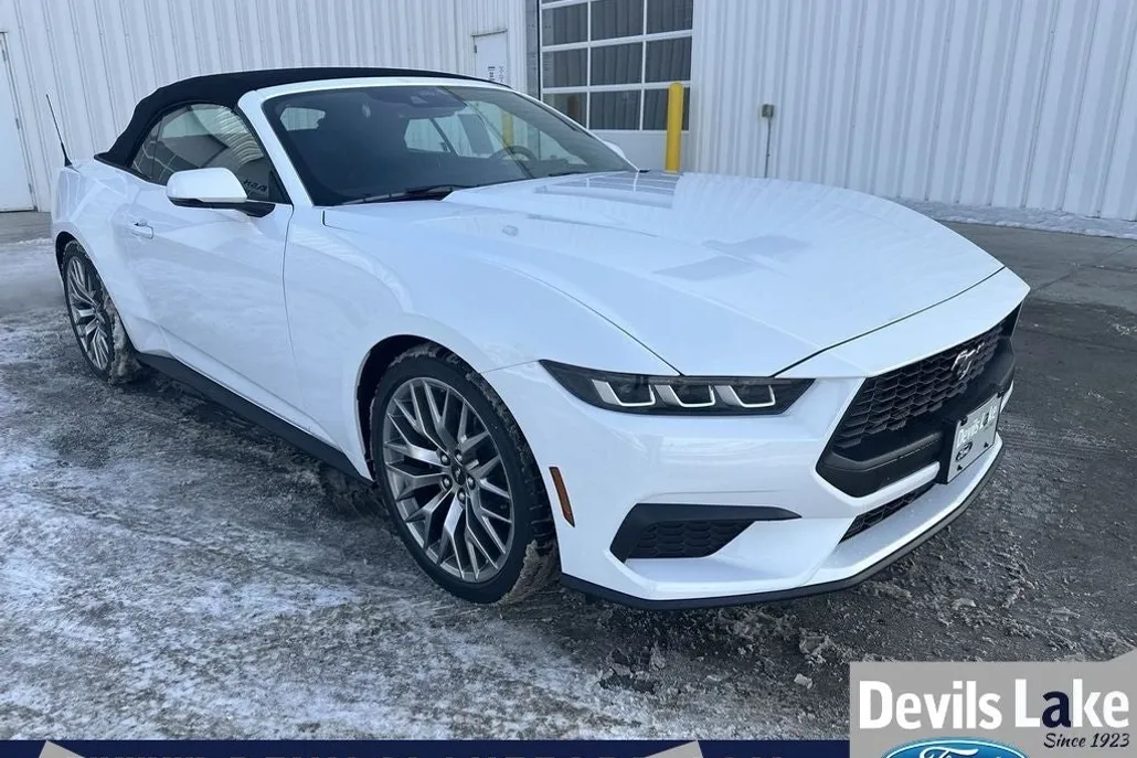 2025 Ford Mustang EcoBoost Premium photo 1