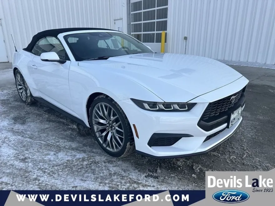 2025 Ford Mustang EcoBoost Premium photo 1