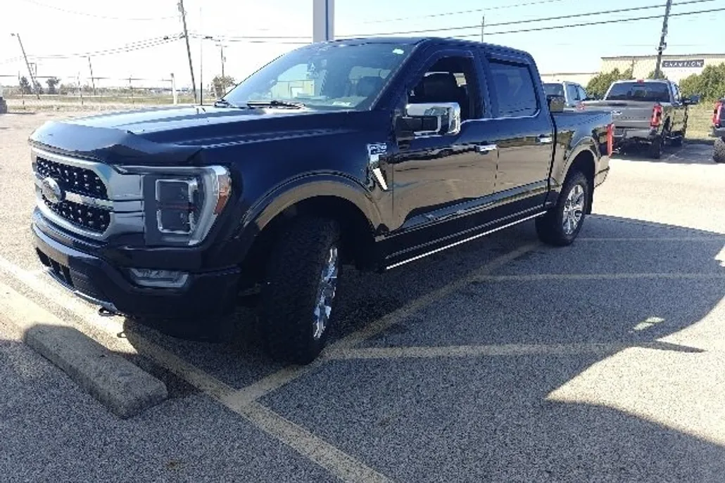 2021 Ford F-150 Platinum photo 1