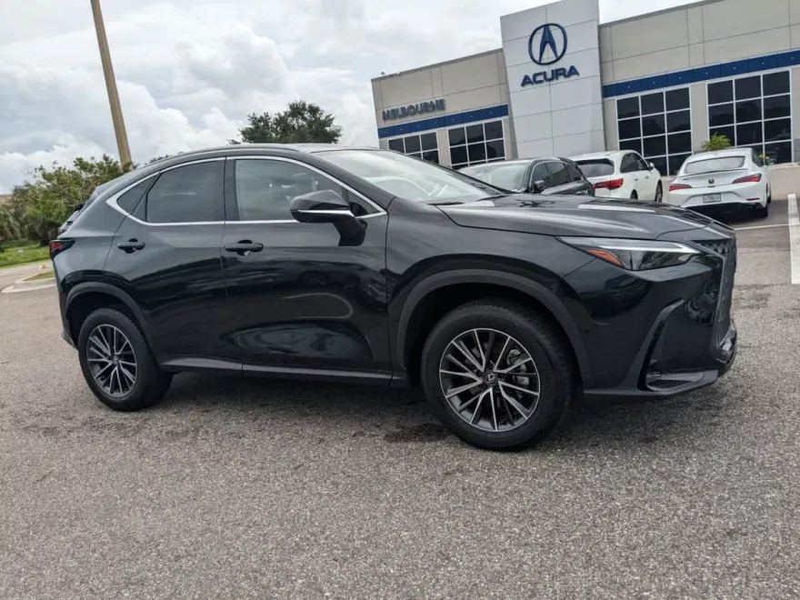2024 Lexus NX 350h Luxury AWD photo 1