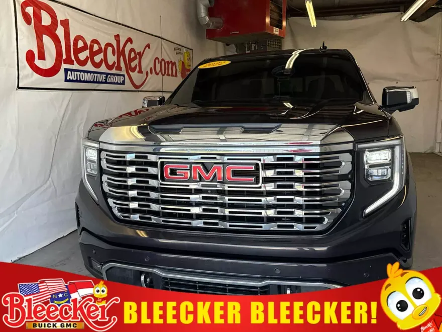 2022 Gmc Sierra 1500 Denali photo 1