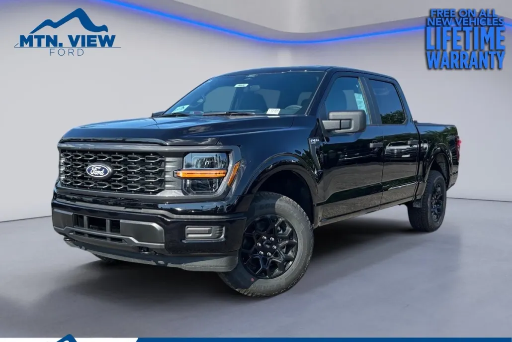 2025 Ford F-150 STX photo 1