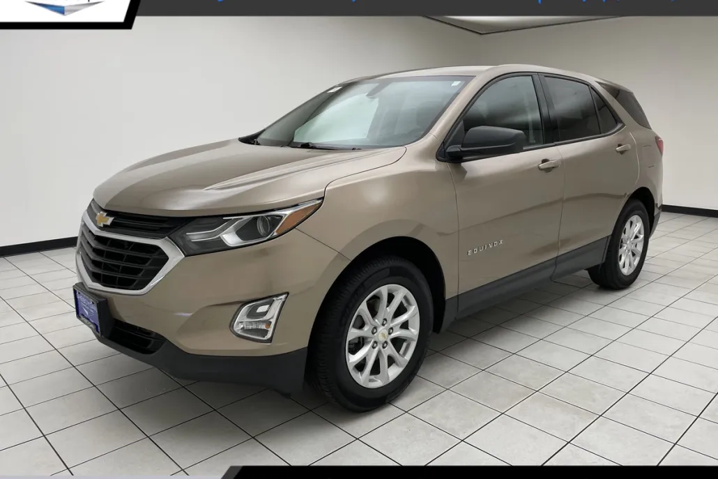2019 Chevrolet Equinox LS photo 1
