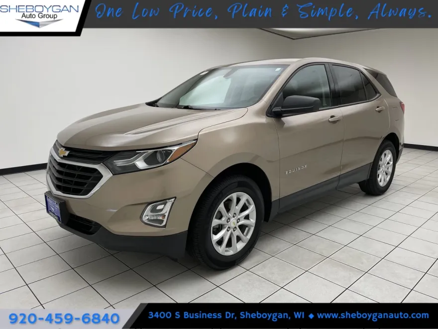 2019 Chevrolet Equinox LS photo 1