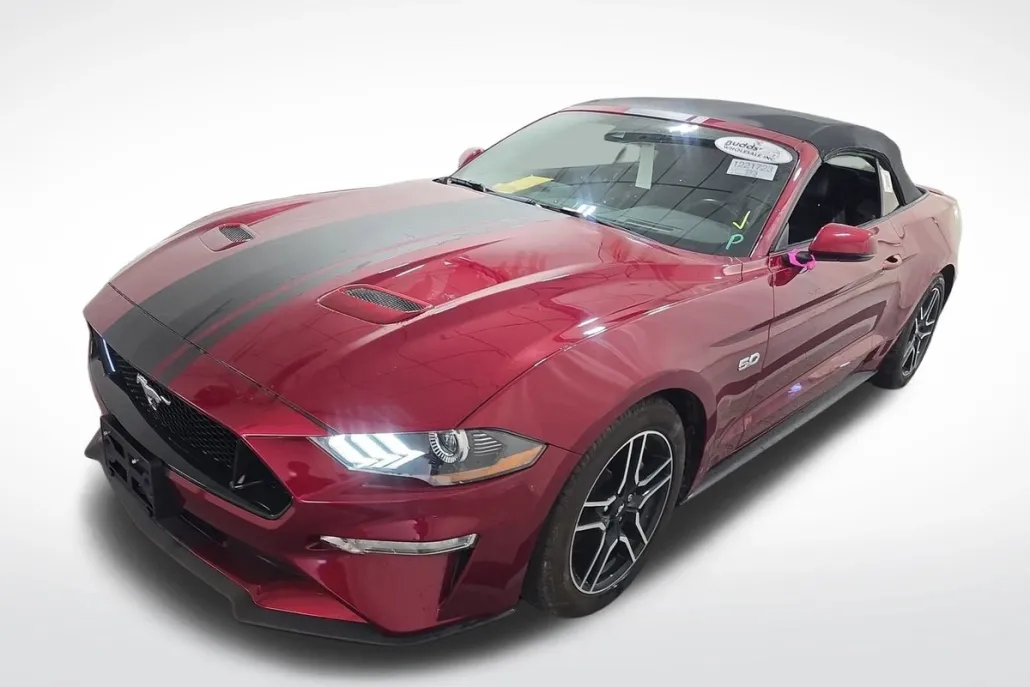 2019 Ford Mustang GT Premium Convertible photo 1
