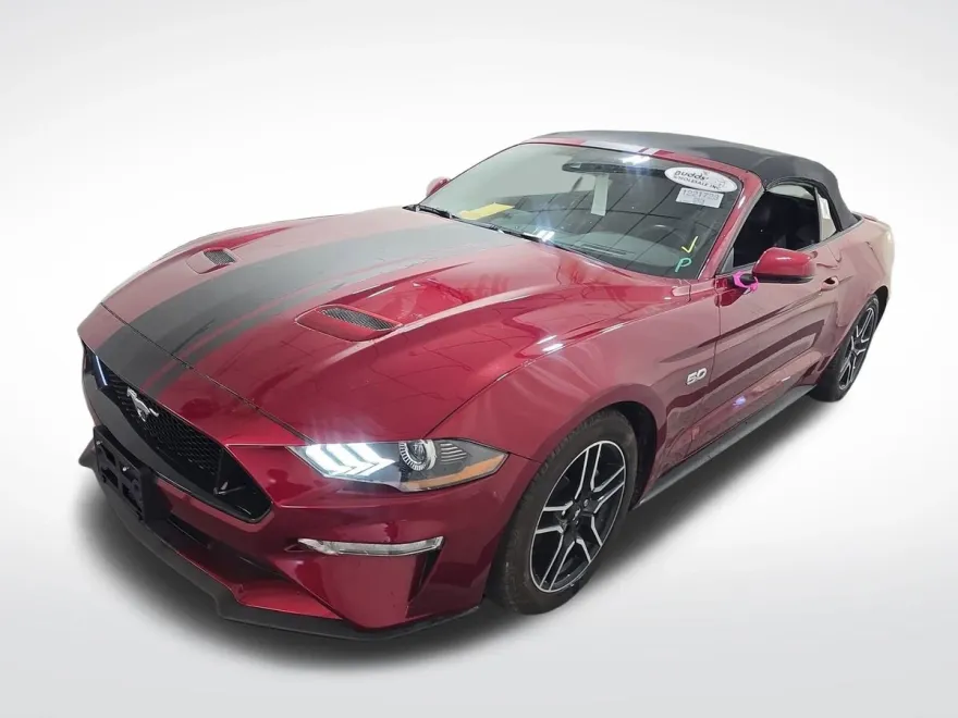 2019 Ford Mustang GT Premium Convertible photo 1