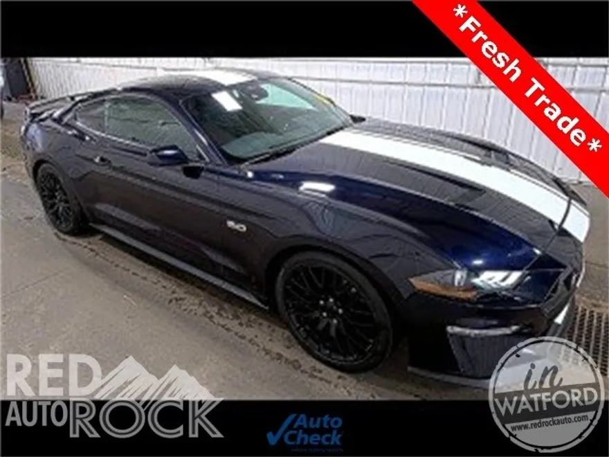 2021 Ford Mustang GT photo 1