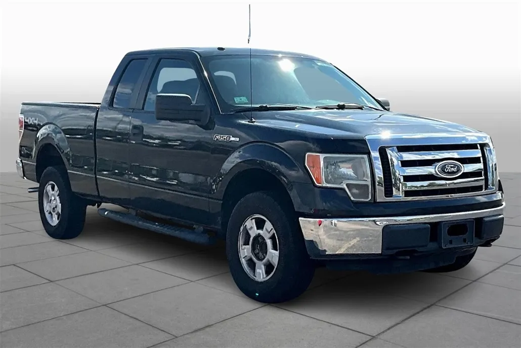 2010 Ford F-150 XL photo 1