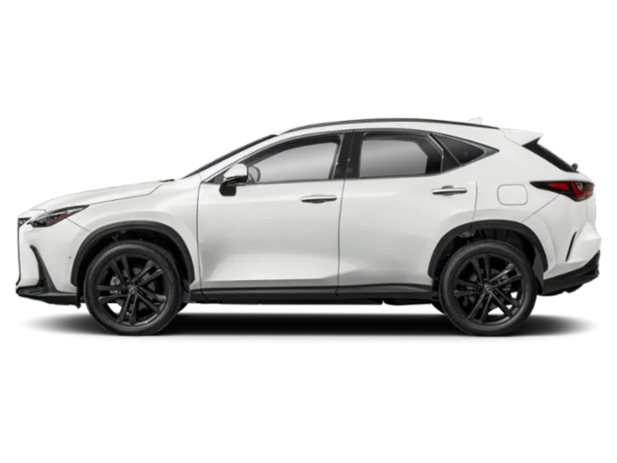 2025 Lexus NX 450h+ Luxury photo 1