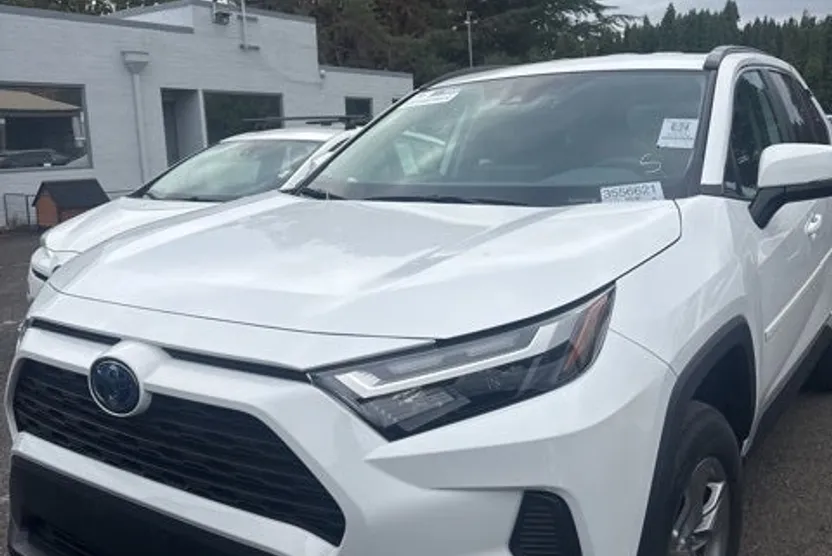 2024 Toyota RAV4 Hybrid LE photo 1