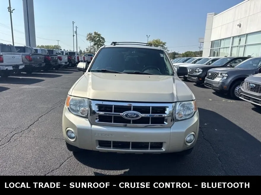 2010 Ford Escape XLT photo 1
