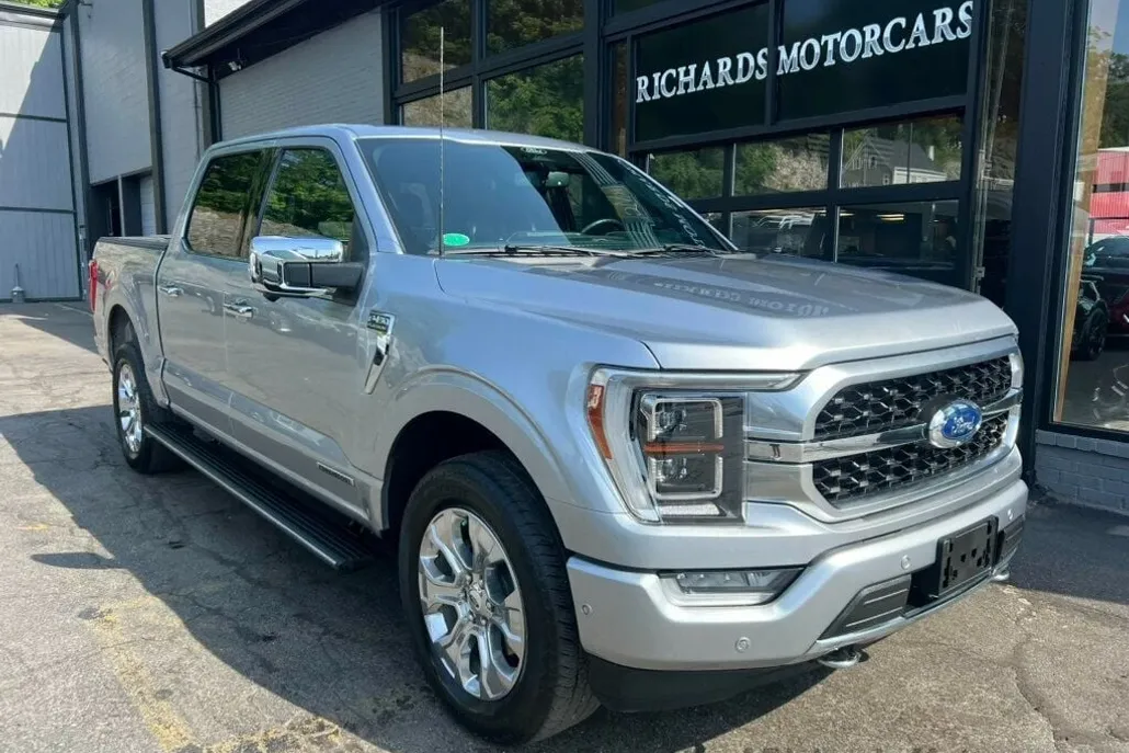 2022 Ford F-150 Platinum photo 1