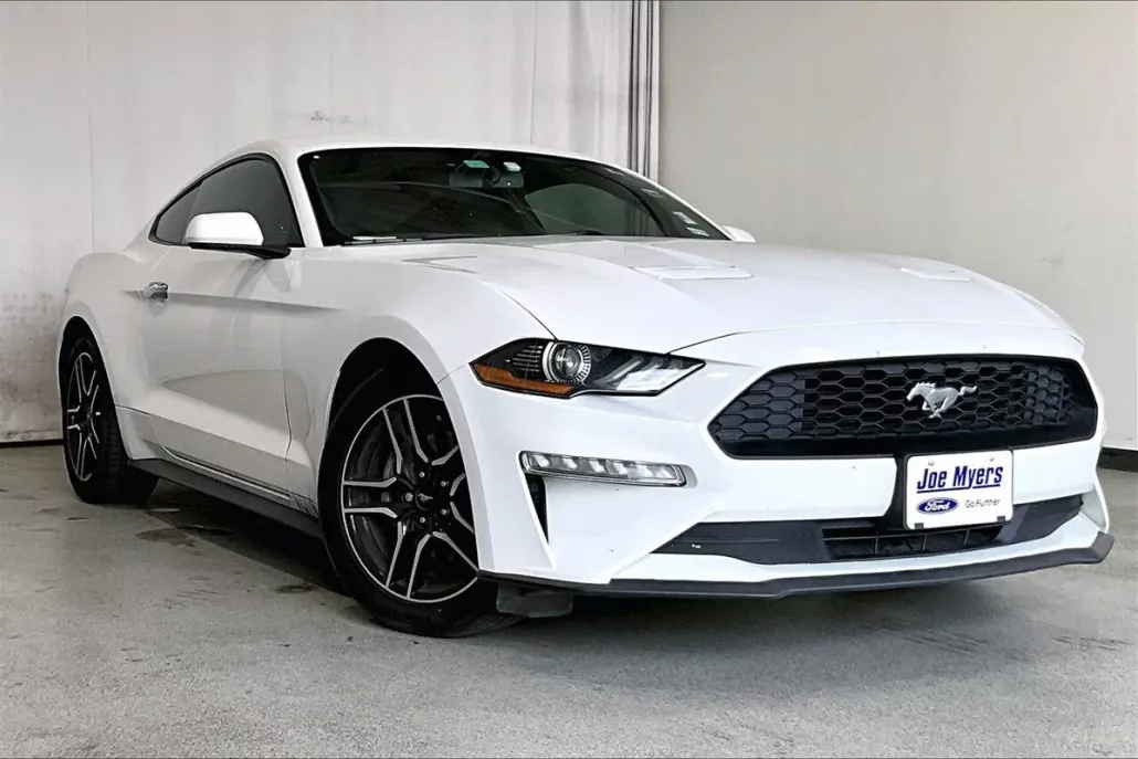 2019 Ford Mustang EcoBoost photo 1