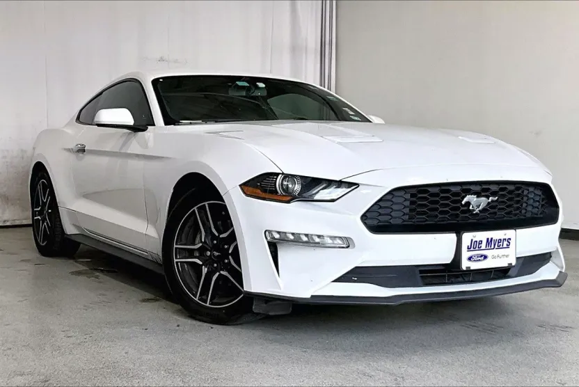 2019 Ford Mustang EcoBoost photo 1