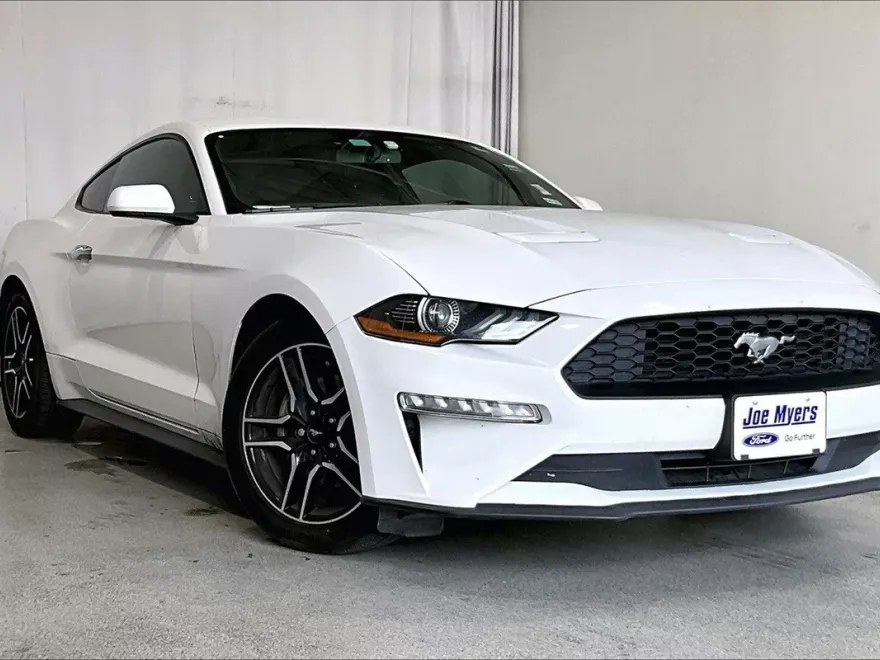 2019 Ford Mustang EcoBoost photo 1