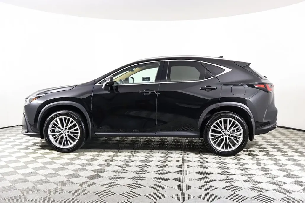 2024 Lexus NX 350 Luxury photo 1