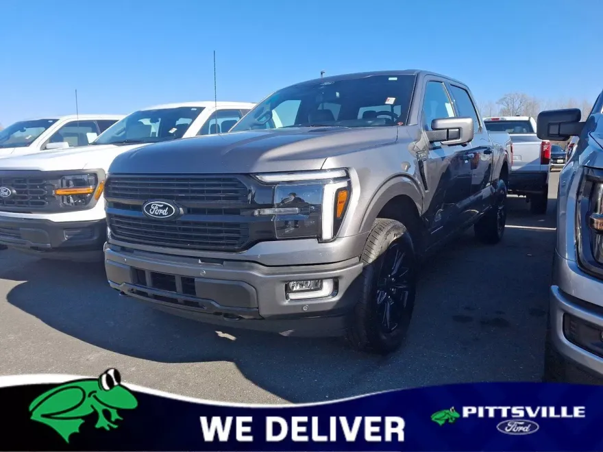 2025 Ford F-150 Platinum photo 1